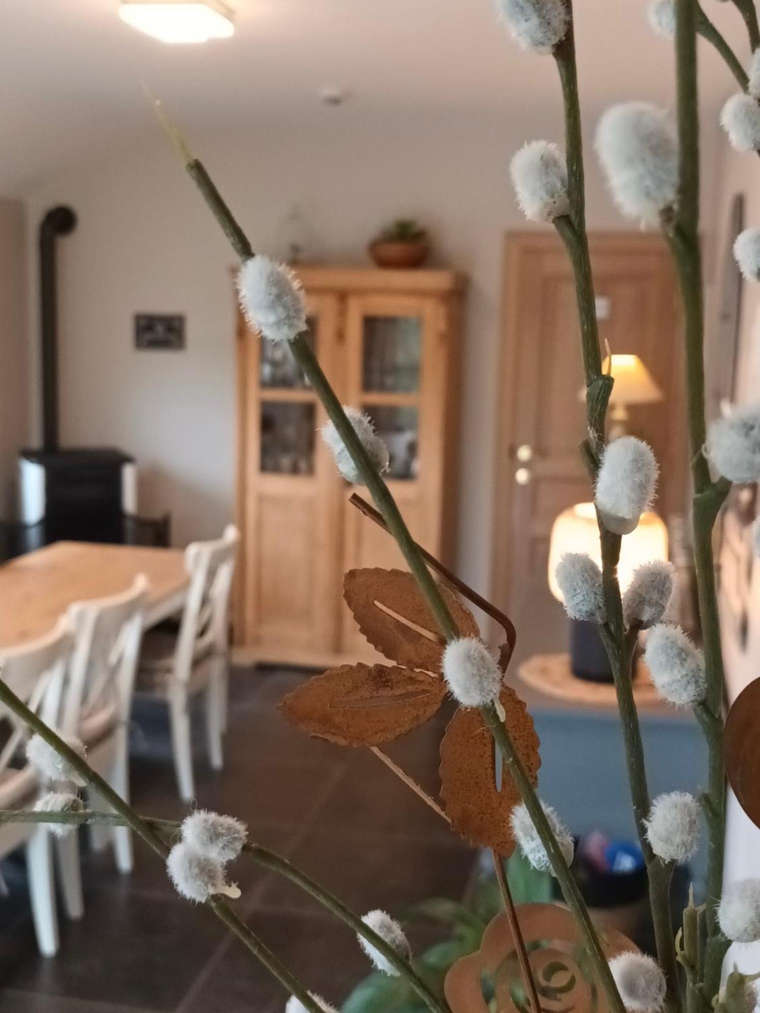 Le Relais De La Motte Soignies Exterior foto